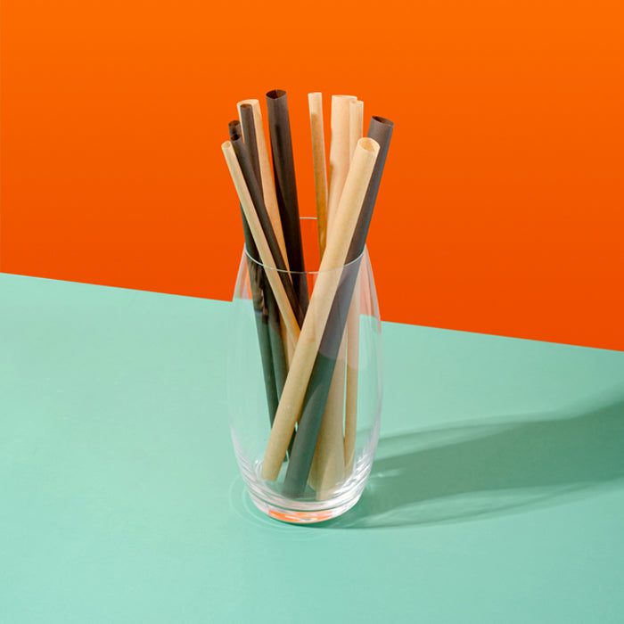 Sugarcane Bagasse Straw