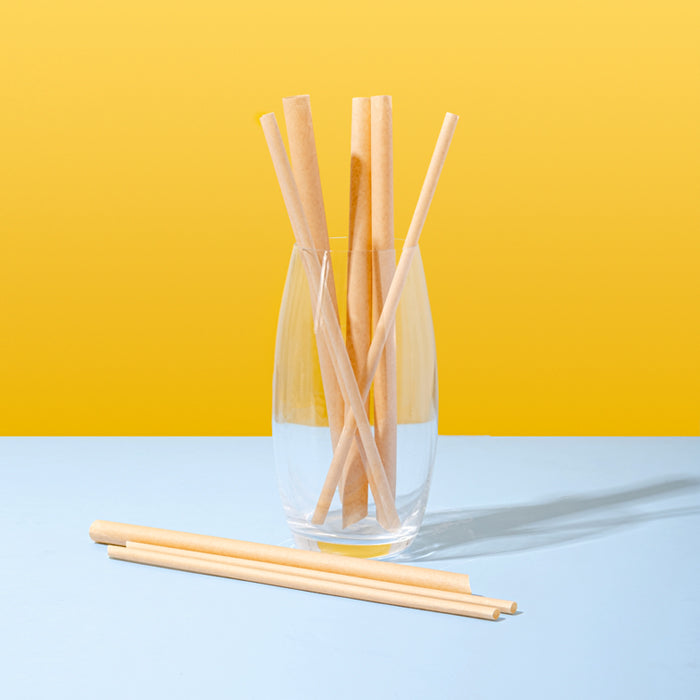Sugarcane Bagasse Straw