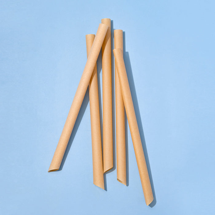 Sugarcane Bagasse Straw